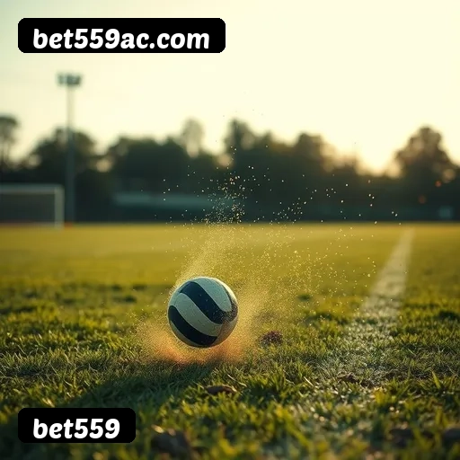 Tabela RTP dos jogos de cassino da bet559